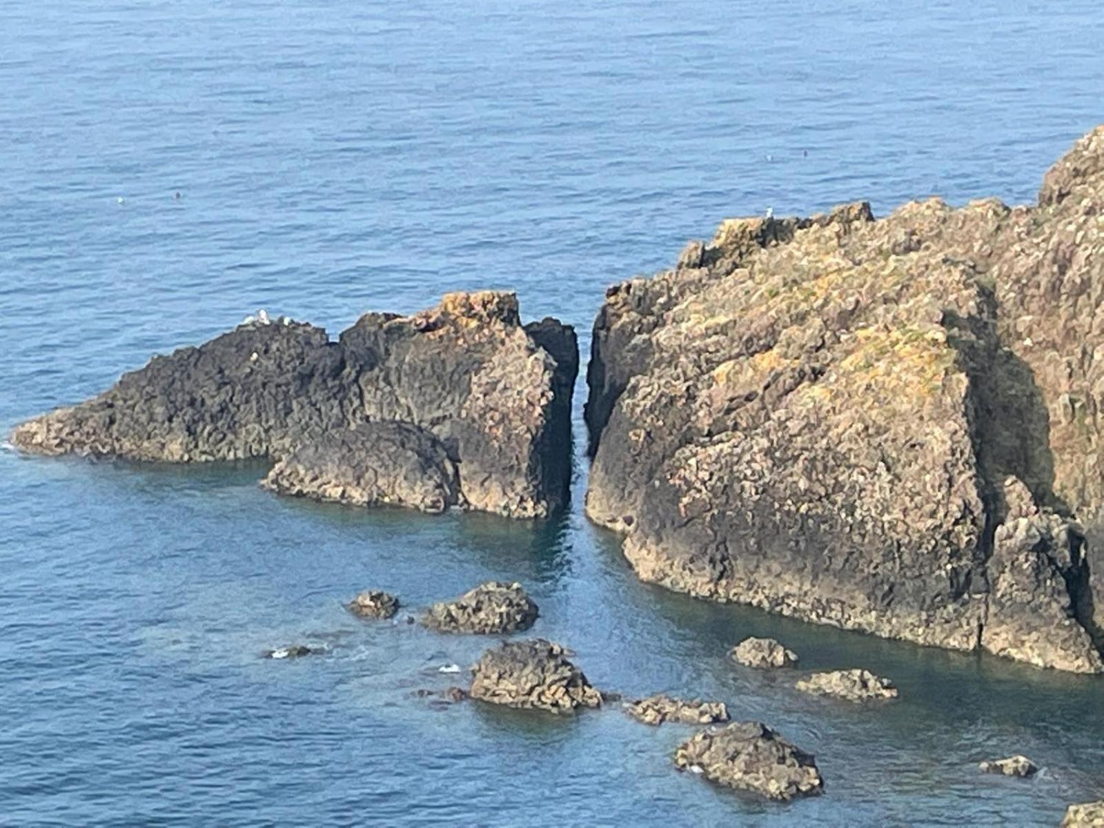 Trefechan Wen Barn Llanwnda  Exteriör bild
