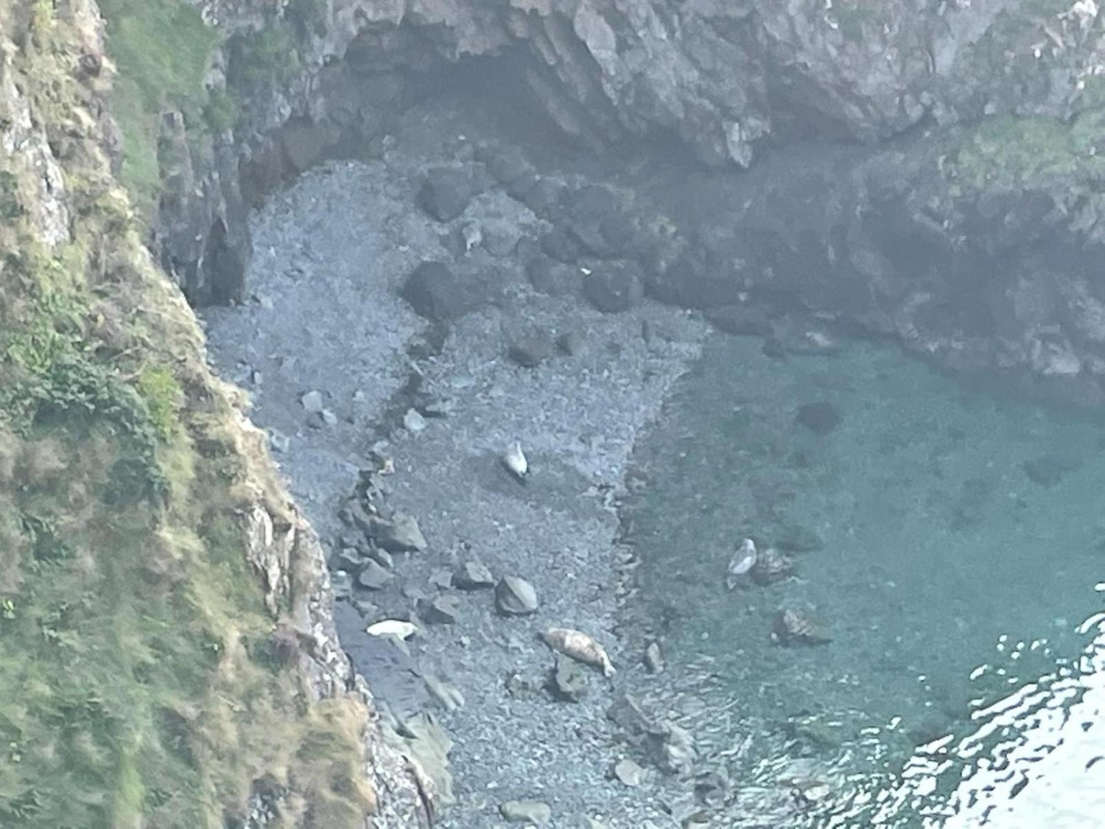 Trefechan Wen Barn Llanwnda  Exteriör bild